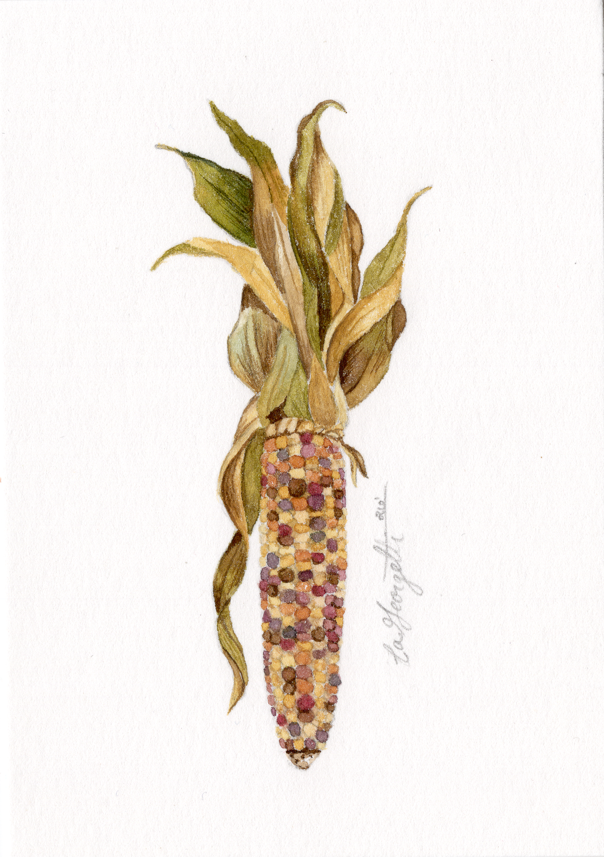 "Husk" Print