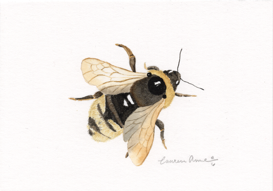 "Busy Bee" Print
